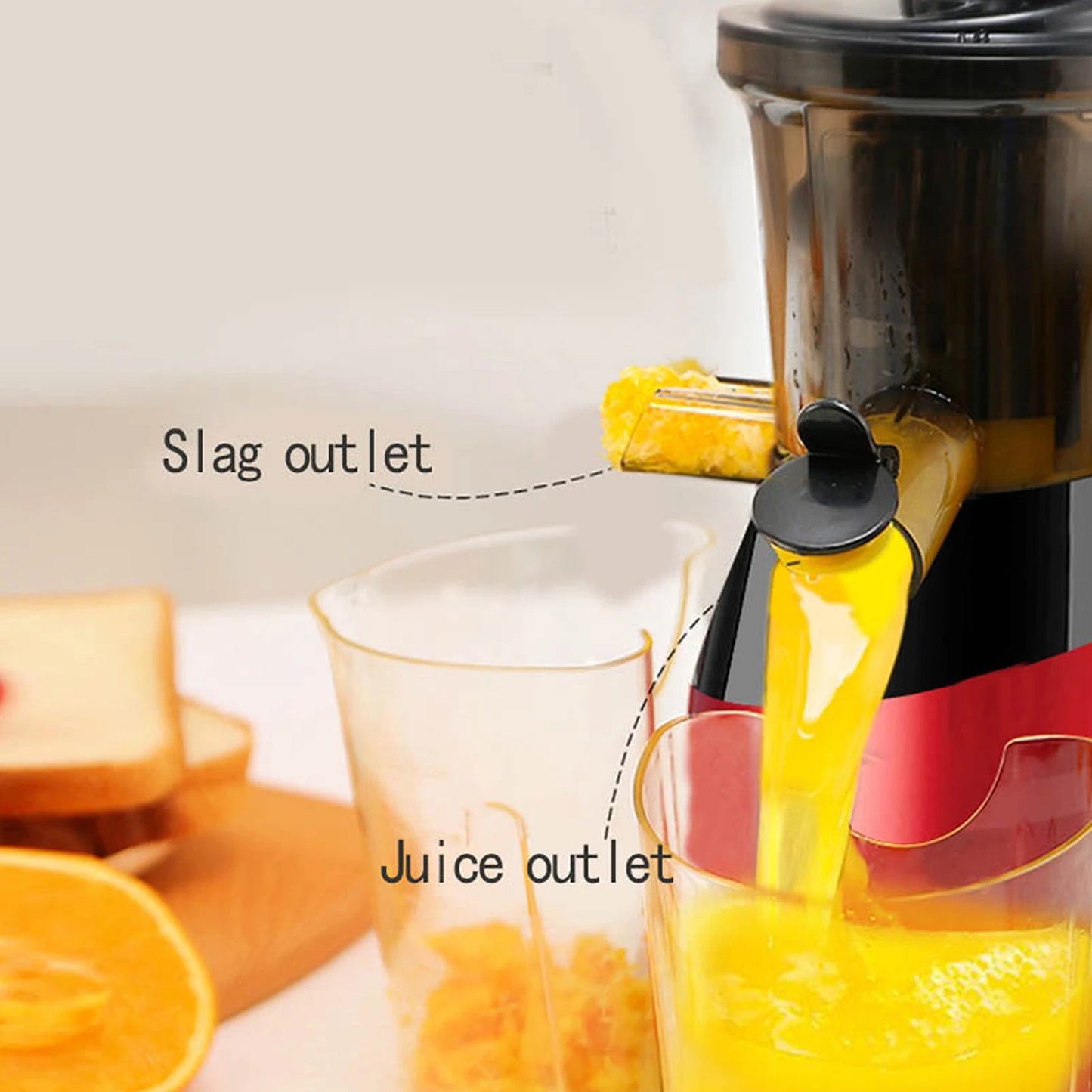 Slow Masticating Juicer