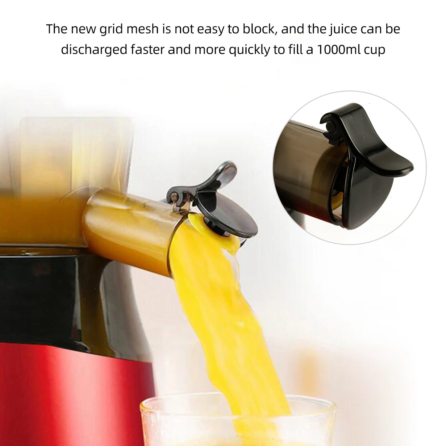 Slow Masticating Juicer