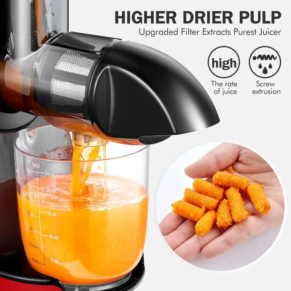 Cold Press Slow Juicer