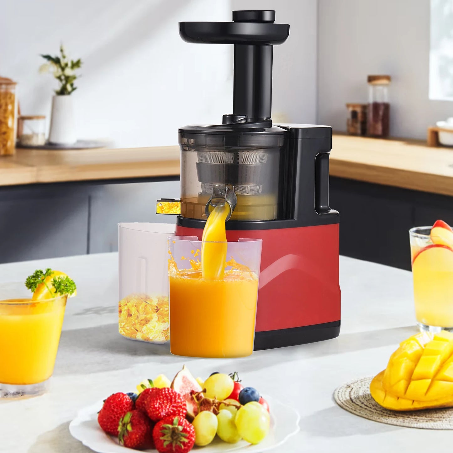 Slow Masticating Juicer