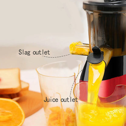 Slow Masticating Juicer