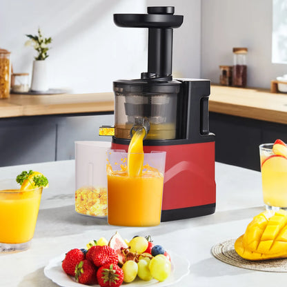 Slow Masticating Juicer